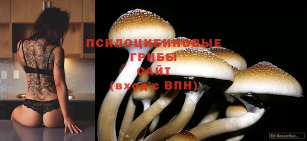 дурь Баксан