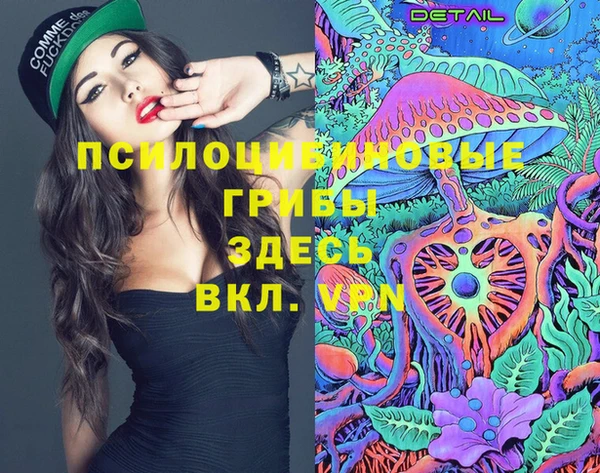 ГАЛЛЮЦИНОГЕННЫЕ ГРИБЫ Балахна