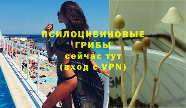 ГАЛЛЮЦИНОГЕННЫЕ ГРИБЫ Балахна