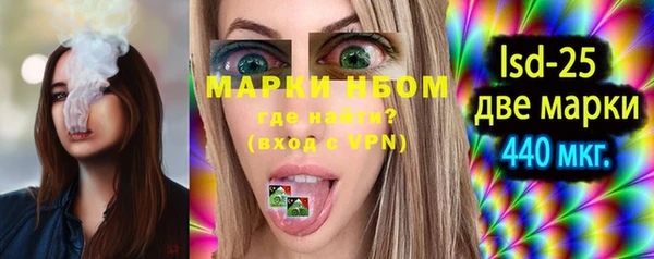 ГАЛЛЮЦИНОГЕННЫЕ ГРИБЫ Балахна
