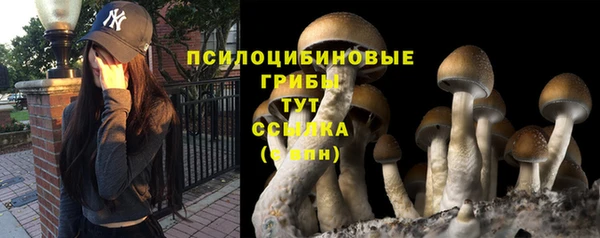 дурь Баксан